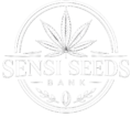 SENSI SEEDS BANK
